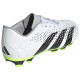Adidas Predator Accuracy.4